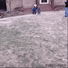 An excited child faceplants